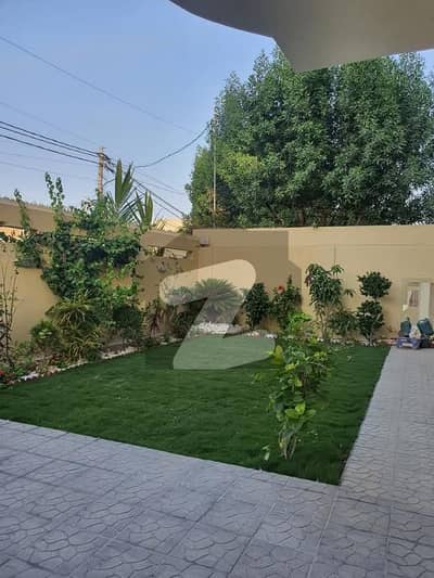 ڈی