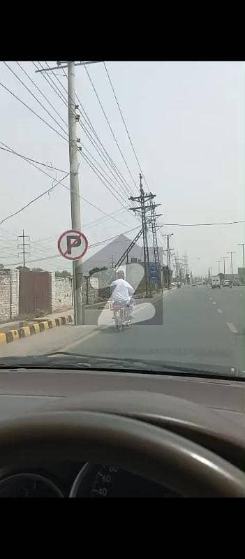 پائن