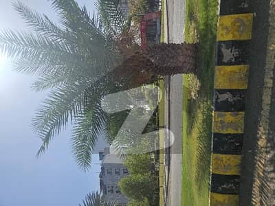 گلبرگ