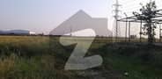 20 