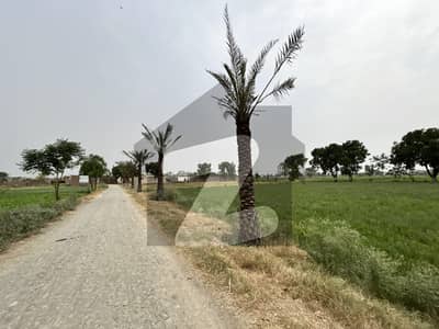 2 Kanal Farmhouse Land for Sale on Bedian Road, Lahore (Near DHA Lahore)