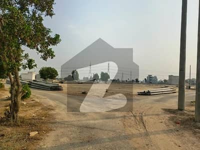 سعدی