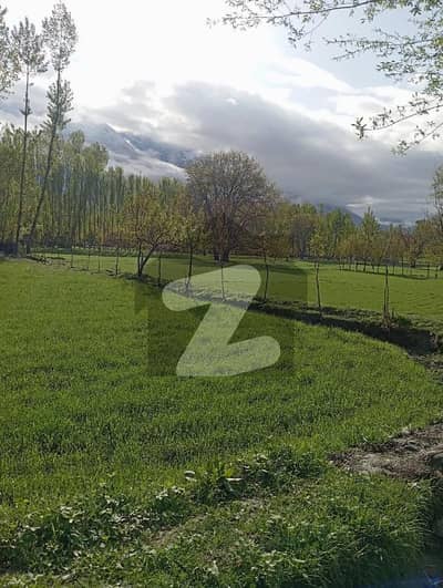 70 Kanal land available for sale on thalian bajniyal road