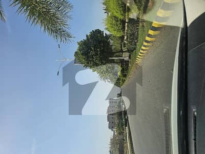 Gulberg
