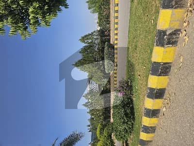 Gulberg