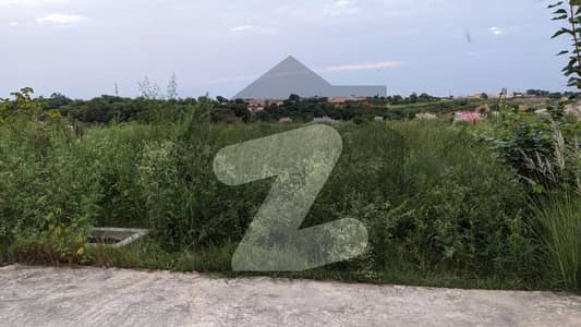 زمر