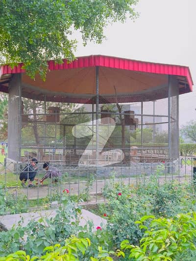 5 Marla Residential Plot As Per Your Budget For Construction Or Investment