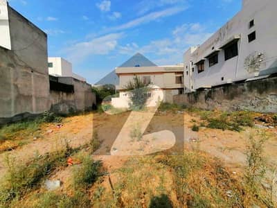 Buying A Residential Plot In NFC 1