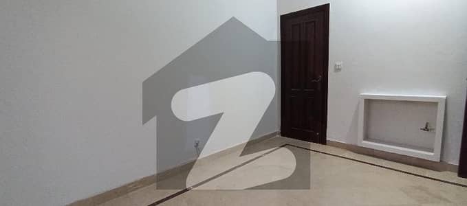 E-11,