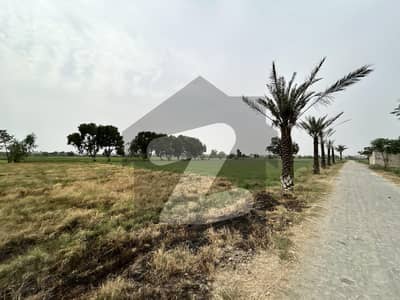 Hot Locaton 2 Kanal Land For Sale On Bedian Road, Lahore