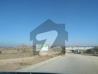 ڈی