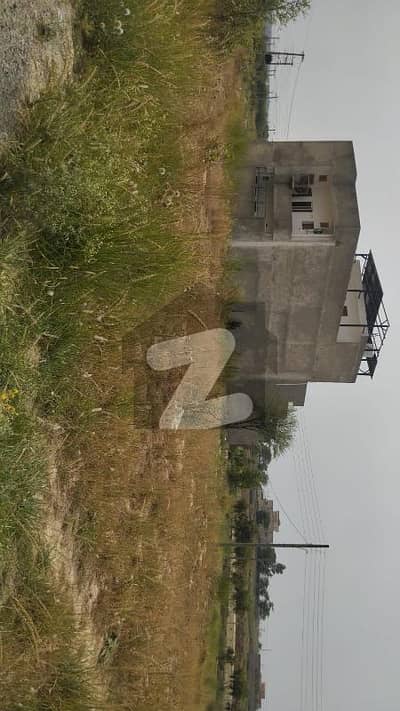 ایف