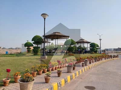 ڈی