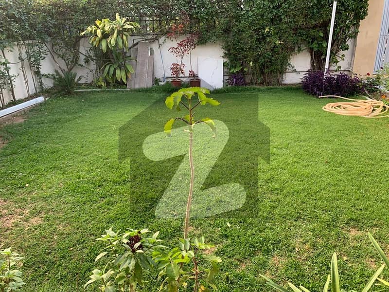 Beautiful House Available For Rent On Prime Location Beautiful House Available For Rent On Prime Location