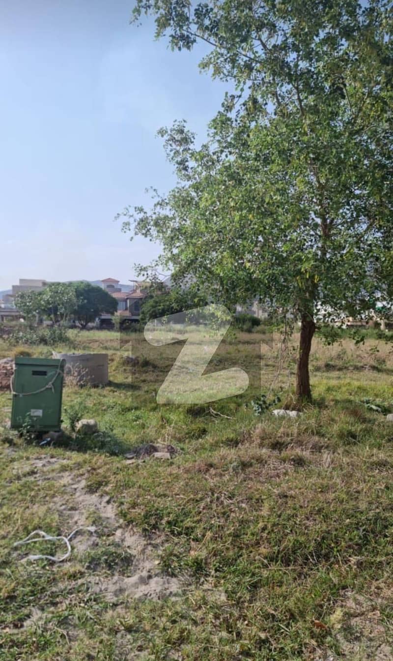 D-12/4 500sqyd Double Road Plot Urgent For Sale D-12/4 500sqyd Double Road Plot Urgent For Sale