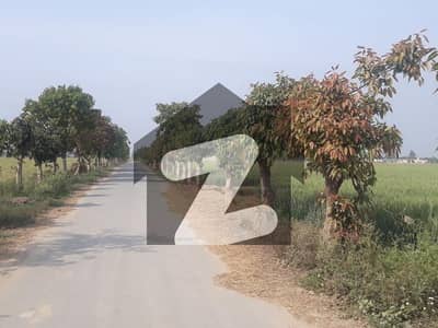 فارمرز