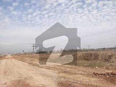 جی