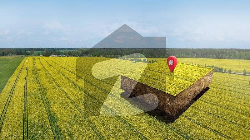 1 KANAL PLOT URGENT REQUIRED 1 KANAL PLOT URGENT REQUIRED