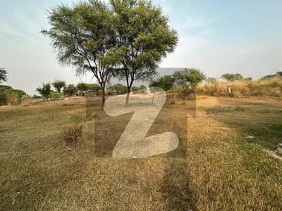 Land