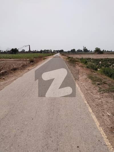 بیدیاں