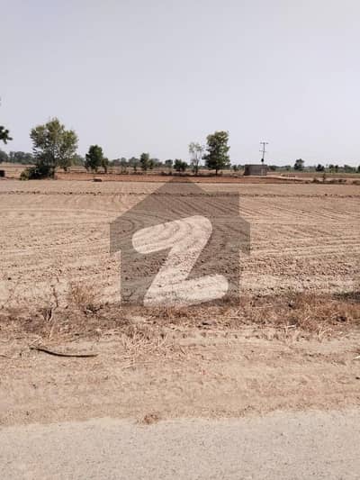 بیدیاں