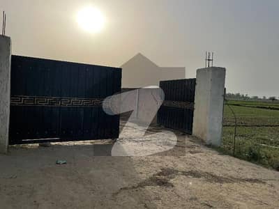 بیدیاں