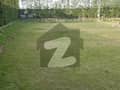 20 