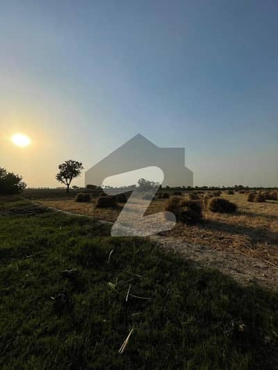 30 Kanal Fertile Agriculture Land for Sale Ideal for Farmhouse or Cattle Farming