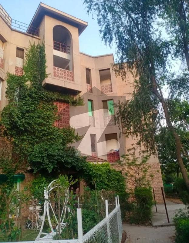 272 Square Feet Flat Is Available For Rent In G-8 Islamabad 272 Square Feet Flat Is Available For Rent In G-8 Islamabad