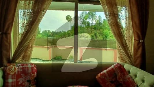 2 Kanal One Brand New House And One Old House Total Area 2 Kanal
