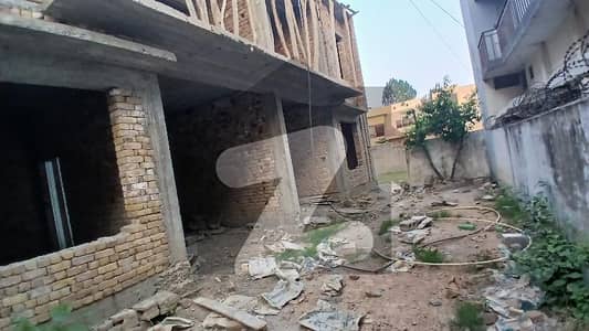 حبیب