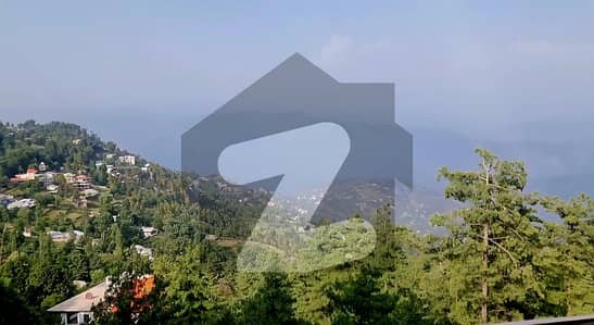 بھوربن
