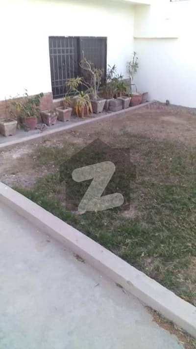 ڈی