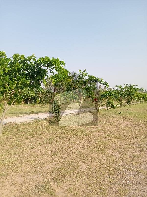 CDA Park Enclave-1 Kanal Plot For Sale CDA Park Enclave-1 Kanal Plot For Sale