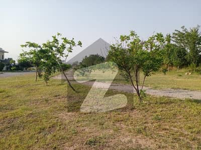 جی