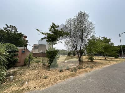 ڈی