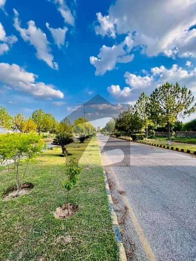 واپڈا