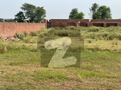 جاہمن لاہور میں 9 کنال زرعی زمین 3.15 کروڑ میں برائے فروخت۔