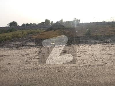 B.
