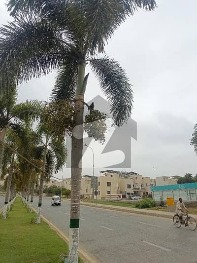 نیا