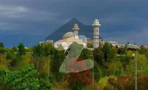 نیول