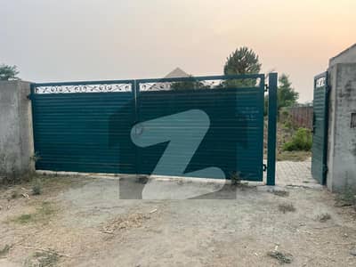 بیدیاں