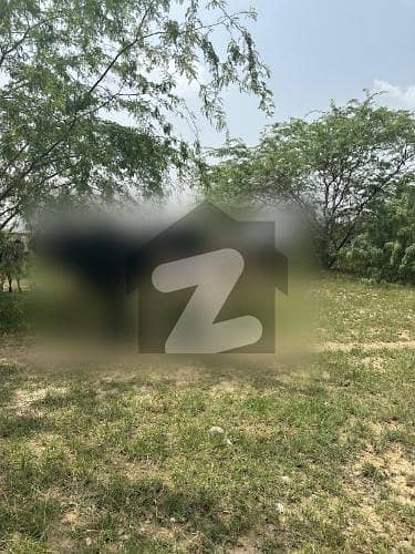 108 Kanal Agricultural Land For Sale In Chakwal