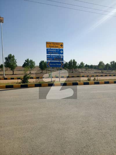 ڈی