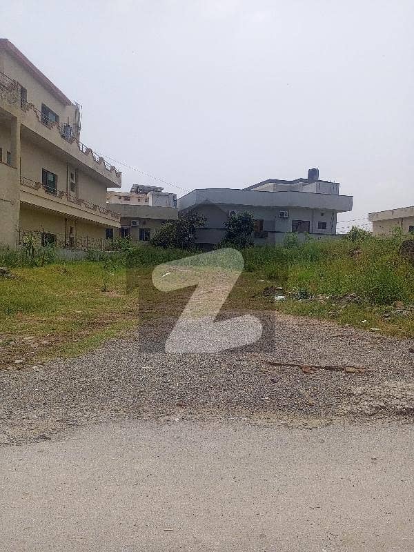 Beautiful full plot for sell Beautiful full plot for sell