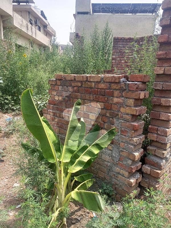Beautiful plot for sell Beautiful plot for sell