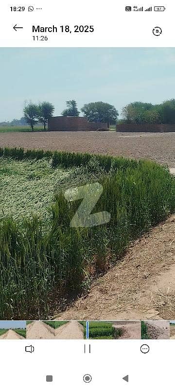 agricultural land for sale