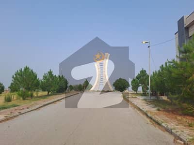 ڈی