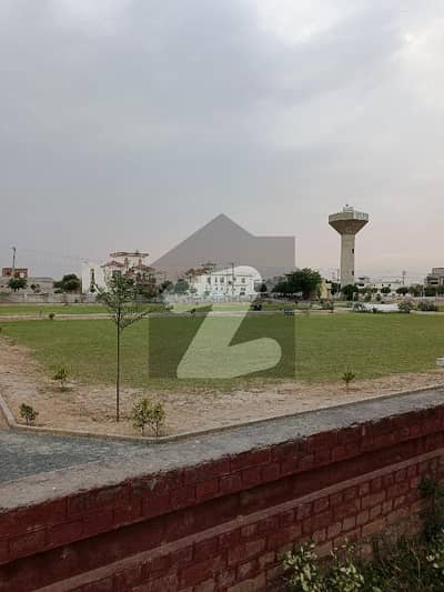 ٹی