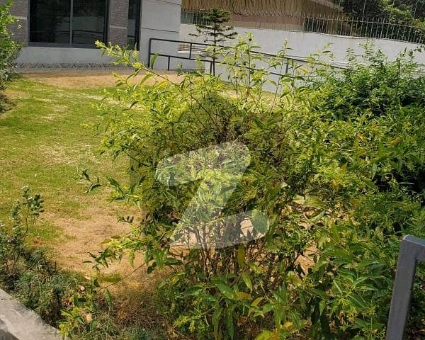 ایف ۔ 7 اسلام آباد میں 6 کمروں کا 1 کنال مکان 16.0 لاکھ میں کرایہ پر دستیاب ہے۔